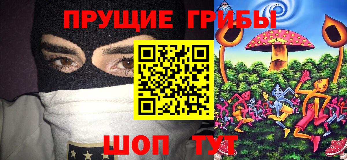 Галлюциногенные грибы мухоморы  Вход с VPN  Тула  Галлюциногенные грибы Psilocybine cubensis 
